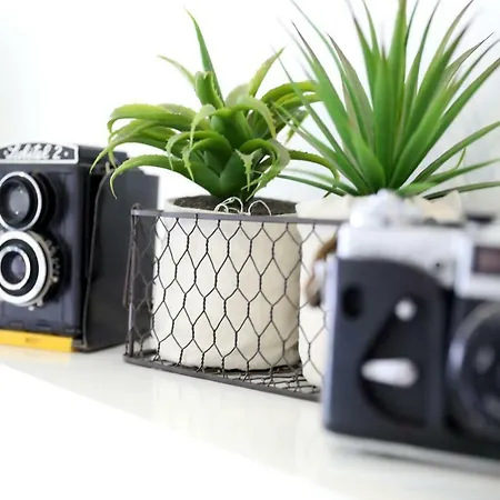 Luxury In By Altamarhomes *