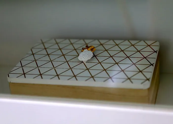 Apartmán Luxury In By Altamarhomes Playa Paraiso (Tenerife)